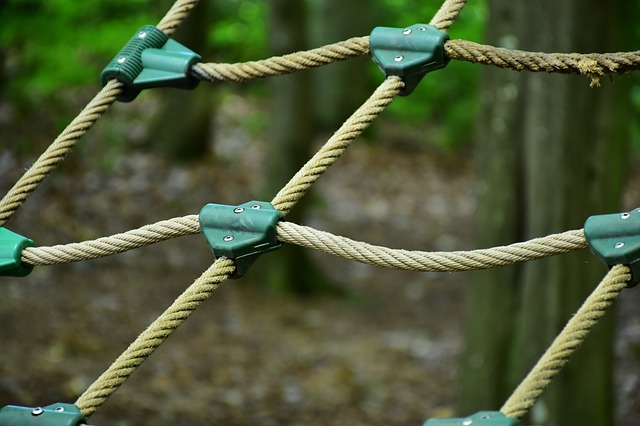 Tree Umph Ropes Course